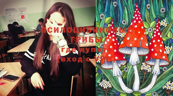 PSILOCYBIN Алексеевка