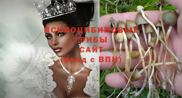 трава Алексин